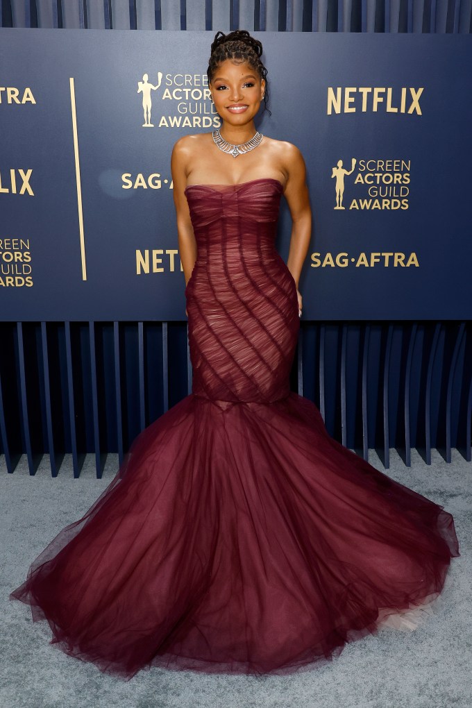 SAG Awards Red Carpet 2024: Photos of Celebrity Arrivals